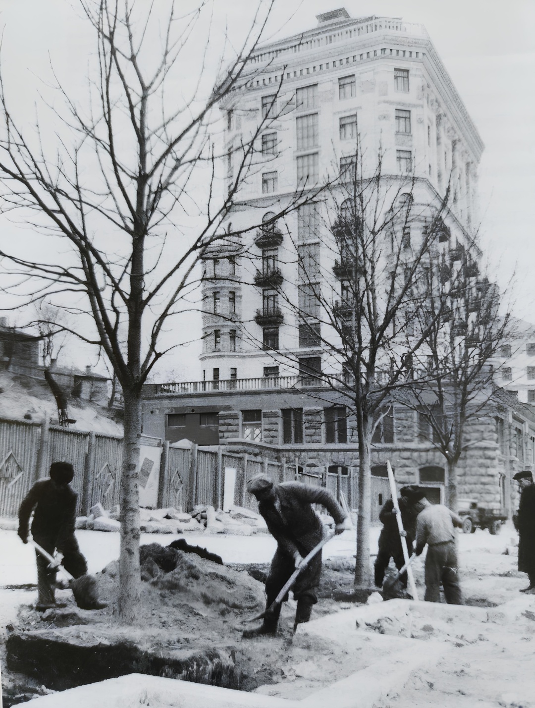 На Хрещатику саджають каштани. 27 березня 1954.