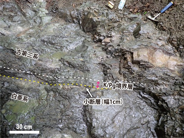 Фото:  the Tohoku University-led K-Pg research team