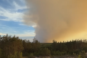 У Польщі під час гасіння лісової пожежі розбився літак, пілот загинув