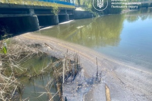 На Житомирщині виявили масову загибель риби в річці Мика
