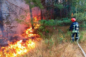 Guerre en Ukraine : Près de 2 400 hectares de forêt en feu dans la zone frontalière de Tchernihiv 