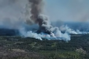 На прикордонні Чернігівщини через російську агресію палає 2400 гектарів лісу
