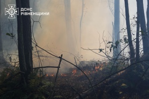 Рятувальники продовжують гасити пожежі у двох районах Рівненщини