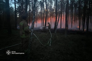 У чотирьох областях України гасять лісові пожежі загальною площею понад 2 тисячі гектарів