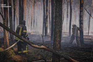Удари по ФСБ в Чечні та НПЗ на рф | Пожежі в зоні ЧАЕС |«Покровський Олень» на Венеційському бієнале