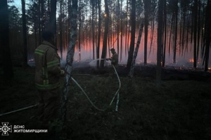 Waldbrände in vier Regionen