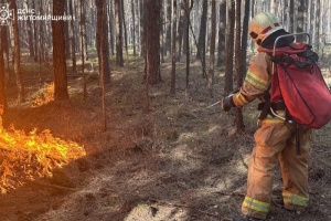 Waldbrände in vier Regionen
