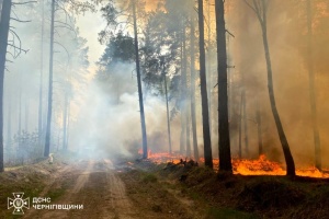 Рятувальники локалізували масштабну лісову пожежу на Чернігівщині