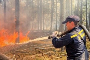 Лісова пожежа в Чорнобильській зоні: вогонь пройшов 1200 гектарів