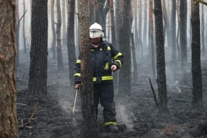 На Житомирщині триває ліквідація лісової пожежі у Поліському заповіднику