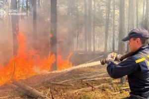 Forest fire in Chornobyl exclusion zone covers 1,200 hectares