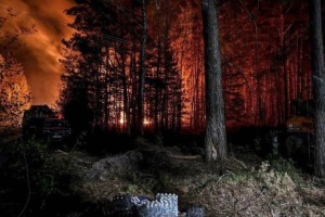 У Зоні відчуження на Київщині триває ліквідація лісової пожежі
