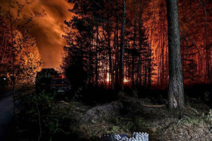 У Зоні відчуження на Київщині триває ліквідація лісової пожежі