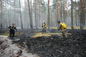 Лісова пожежа на Житомирщині: вогонь загасили на площі 250 гектарів