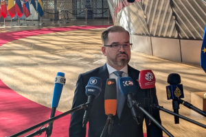 Європа має побудувати «фабрику миру» - міністр оборони Литви