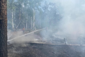 У Чорнобильській зоні через збиття російських БПЛА спалахнули нові пожежі
