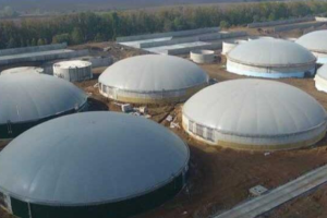 Україна цьогоріч планує виробити близько 150 мільйонів кубометрів біометану - Мінекономіки