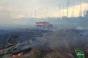 В Ізюмському лісництві загасили масштабні пожежі, спричинені обстрілами