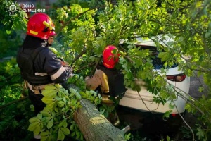 Рятувальники показали, як ліквідують наслідки негоди у трьох областях