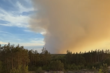 Nearly 2,250 hectares burned in Ukraine's ecosystems due to fires – SES