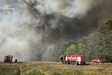 Large-scale forest fire breaks out in Kyiv region, firefighters manage to contain it 