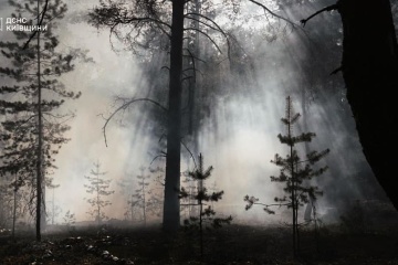 Fire in Chornobyl exclusion zone currently poses no radiation threat