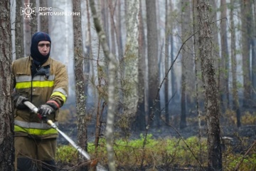 Efforts ongoing to extinguish forest fire in Polissia Nature Reserve in Zhytomyr region