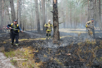 Emergency crews containing forest fire in Zhytomyr region