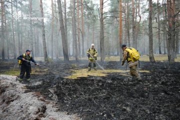 Forest fire contained on 250 hectares in Zhytomyr region