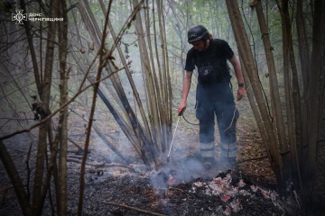 Massive forest fire extinguished in Chernihiv region