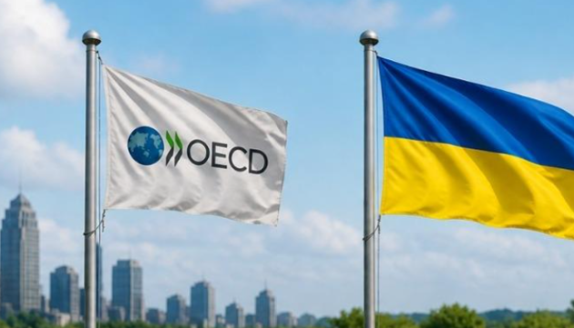 Відновлення після російських атак: Україна приєдналася до Комітету ОЕСР з питань захисту довкілля