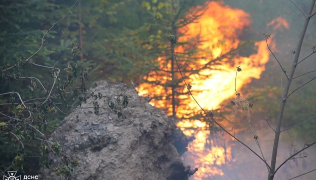На Закарпатті поблизу Воловця горять 75 гектарів лісу, вогонь гасять 250 людей
