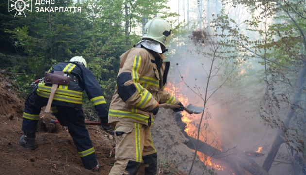 До гасіння масштабної пожежі на Закарпатті залучили рятувальників ще із двох областей 