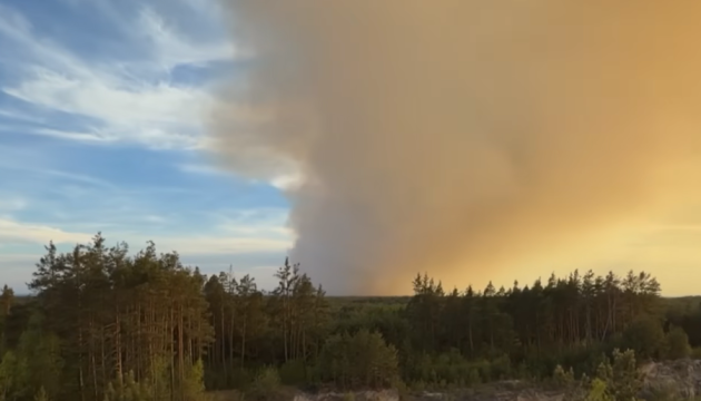 У Польщі під час гасіння лісової пожежі розбився літак, пілот загинув