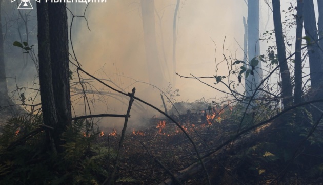 Рятувальники продовжують гасити пожежі у двох районах Рівненщини