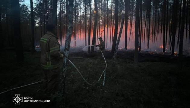 Лісові пожежі гасять у чотирьох областях України, загальна площа - 2 000 гектарів