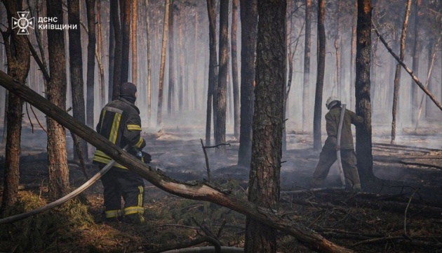 Удари по ФСБ в Чечні та НПЗ на рф | Пожежі в зоні ЧАЕС |«Покровський Олень» на Венеційському бієнале