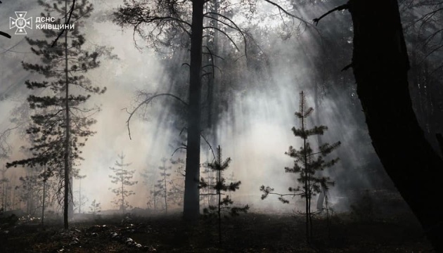 Пожежа у Чорнобильській зоні наразі не становить радіаційної загрози