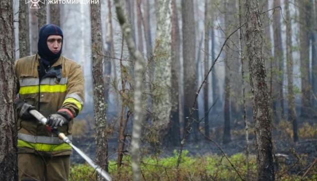 Efforts ongoing to extinguish forest fire in Polissia Nature Reserve in Zhytomyr region