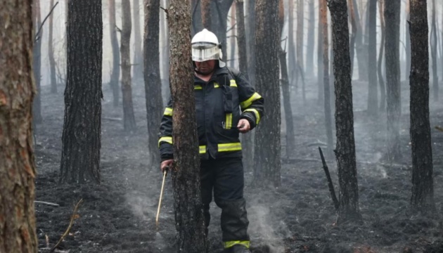На Житомирщині триває ліквідація лісової пожежі у Поліському заповіднику