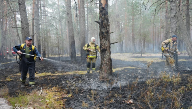 На Житомирщині триває ліквідація пожежі у Поліському заповіднику