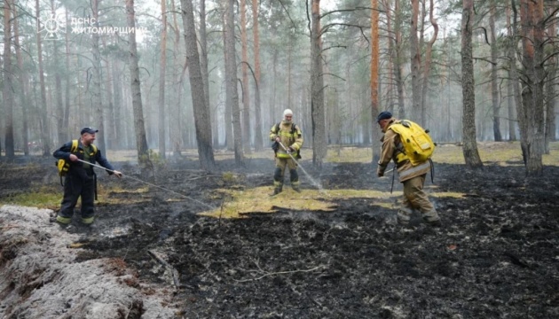 Лісова пожежа на Житомирщині: вогонь загасили на площі 250 гектарів