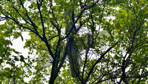 У Миколаєві ворожий безпілотник застряг на верхівці дерева і не здетонував