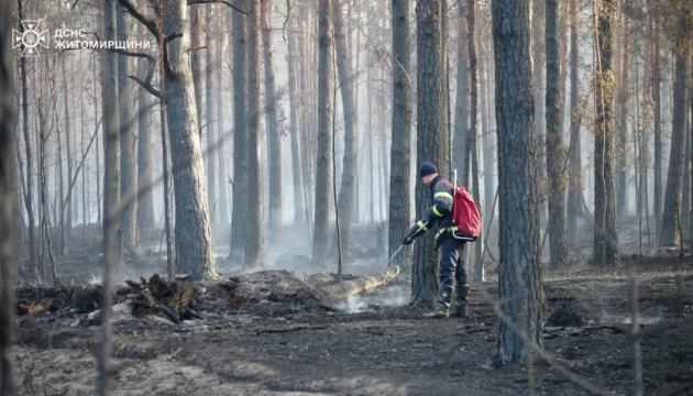 Боролися з вогнем 12 днів: на Житомирщині ліквідували пожежу у Поліському заповіднику