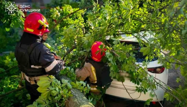 Рятувальники показали, як ліквідують наслідки негоди у трьох областях