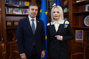 Дмитро Лубінець, Уповноважений Верховної Ради України з прав людини