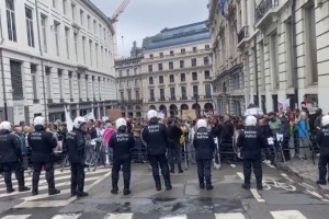 У Брюсселі на акції проти скорочення фінансування освіти сталися сутички