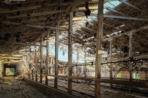 Russian drone deliberately strikes farm in Sumy region, five workers injured, livestock killed