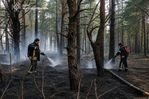 У заповіднику на Житомирщині загасили масштабну пожежу, що виникла через удари РФ