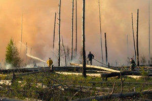 Feuerwehr kämpft gegen Brand in Tschernobyl - Sperrzone